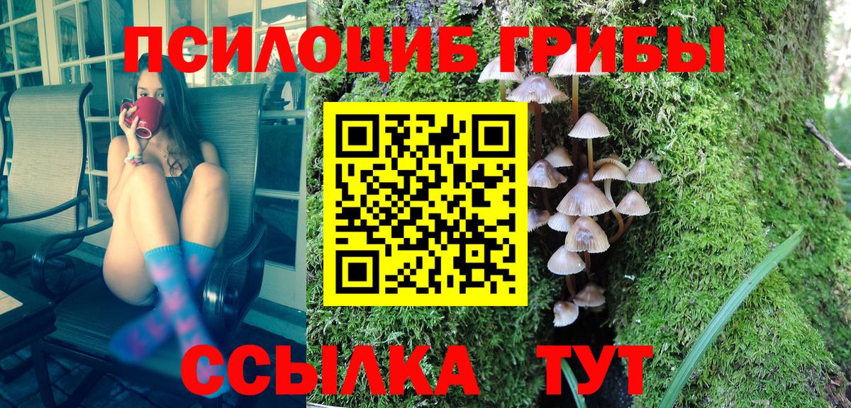 Галлюциногенные грибы GOLDEN TEACHER  Вход с VPN  Жигулёвск 